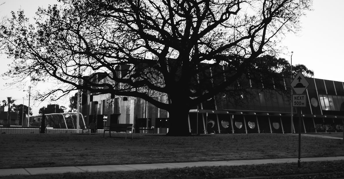 Budget-Friendly Bathroom Renovation Tips for Homeowners