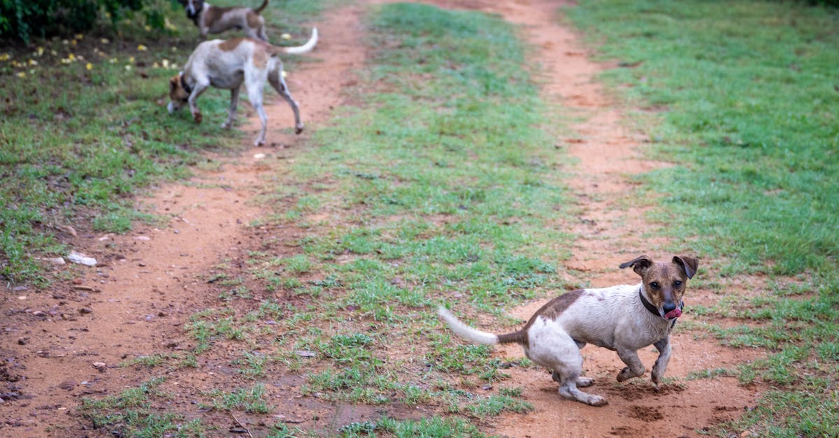 Choosing the Right Pipes and Fittings for Domestic Plumbing