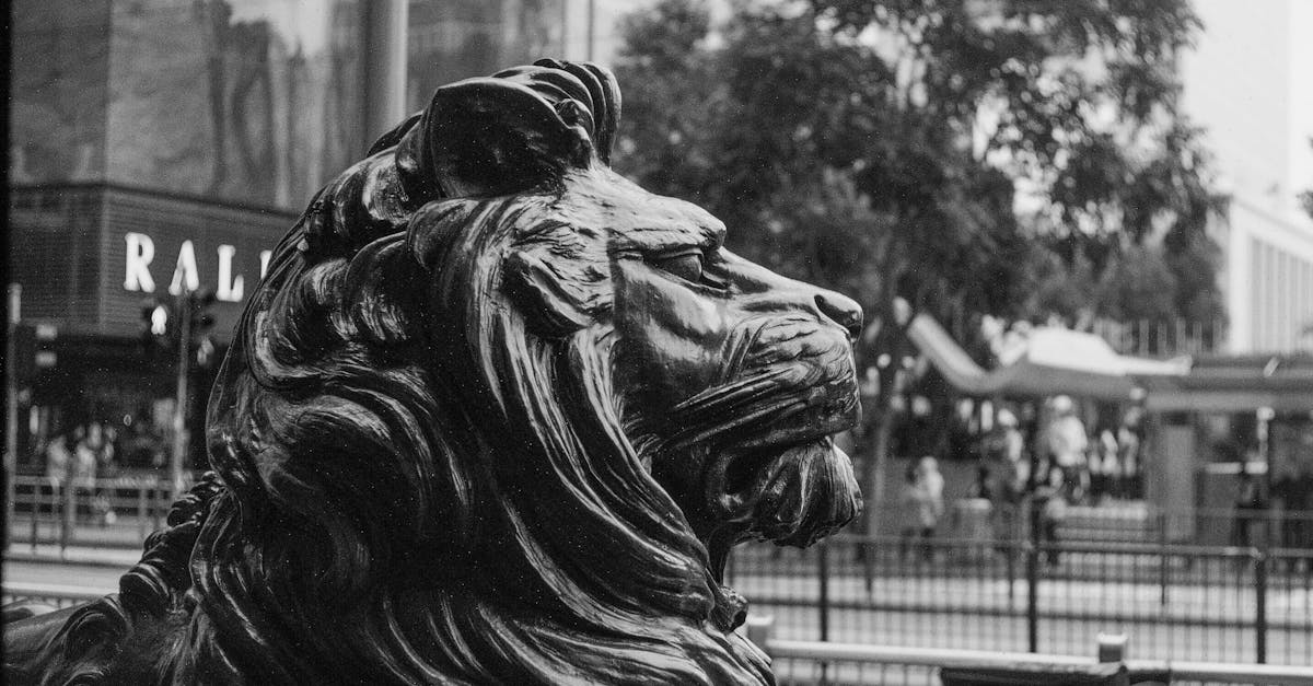 Comparing Gas and Electric Hot Water Systems: Which is Right for You?