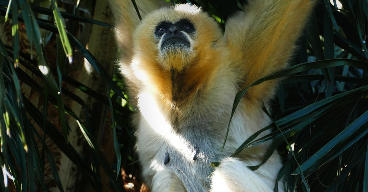 Effective Solutions for Common Clogged Drain Issues