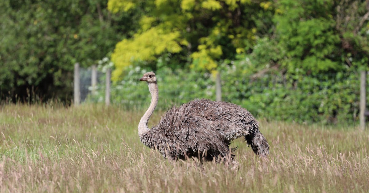 How to Incorporate Smart Technology in Your Bathroom Renovation
