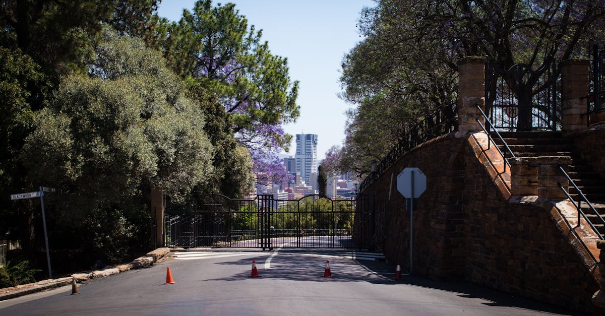 Quick Fixes for Blocked Drains During an Emergency