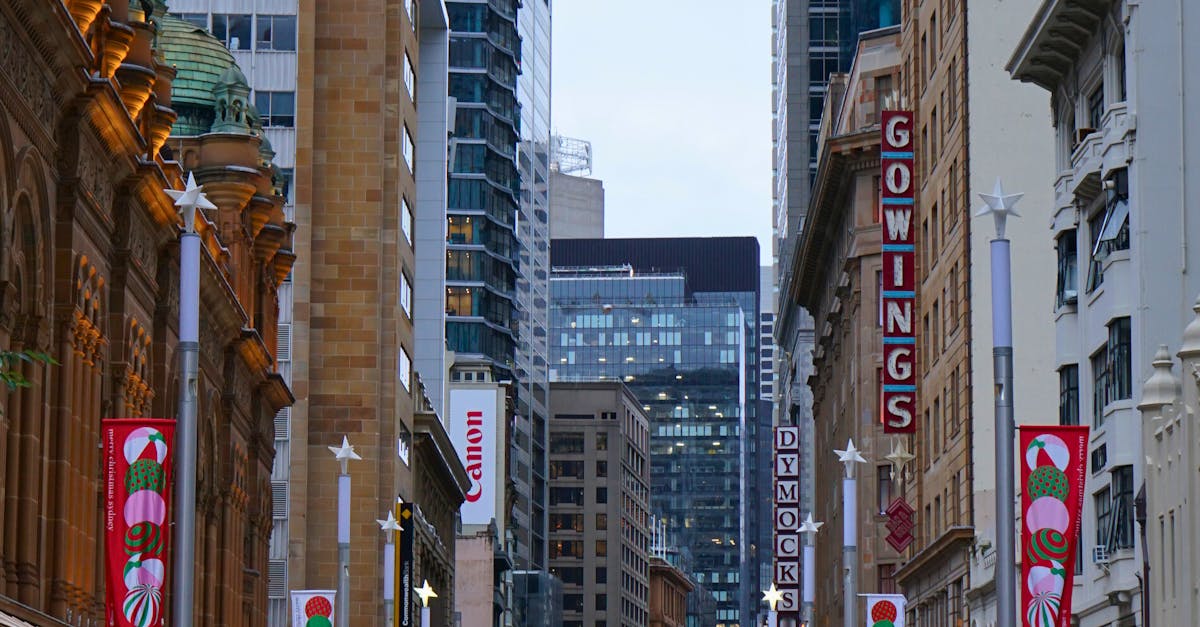 Seasonal Blocked Drain Problems and How to Handle Them