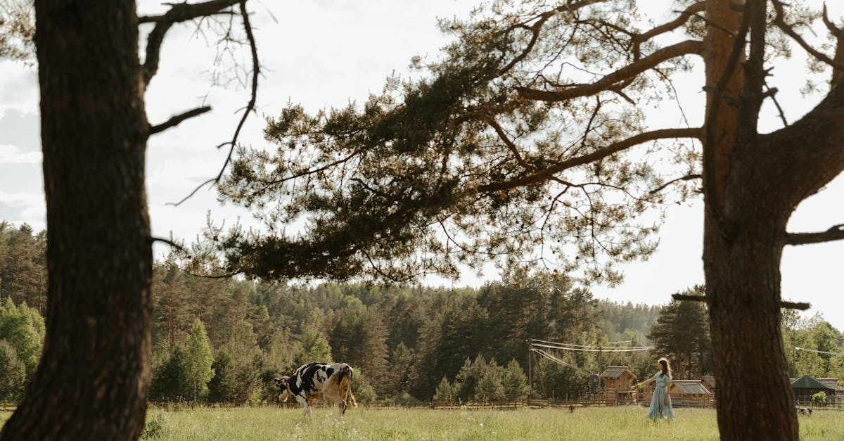 Significance of Proper Ventilation in Plumbing Installation