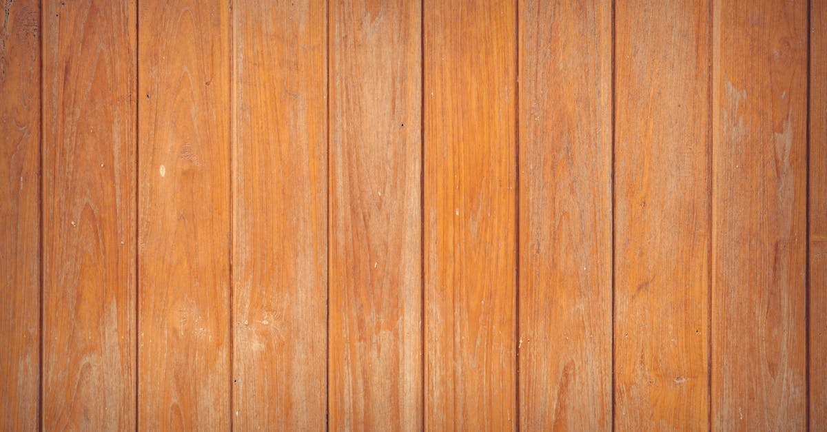 Signs You Need Professional Leak Detection Services in Your Home