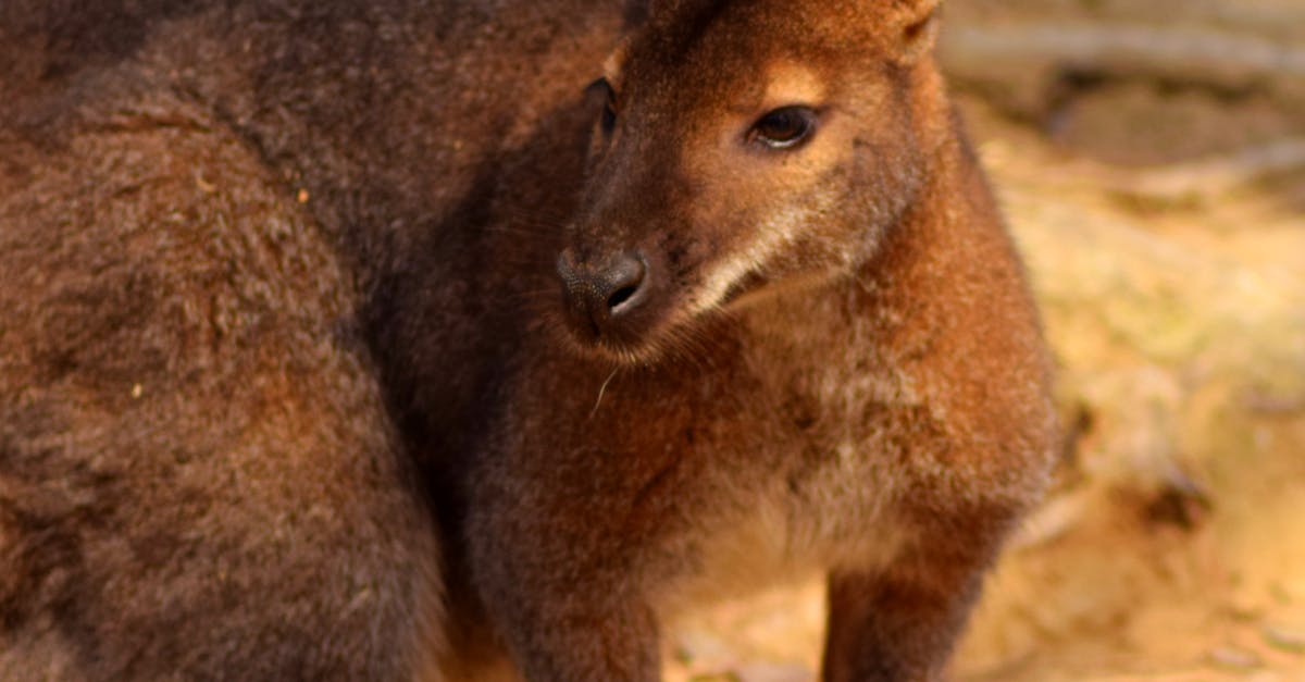 Signs Your Hot Water System Needs Immediate Attention