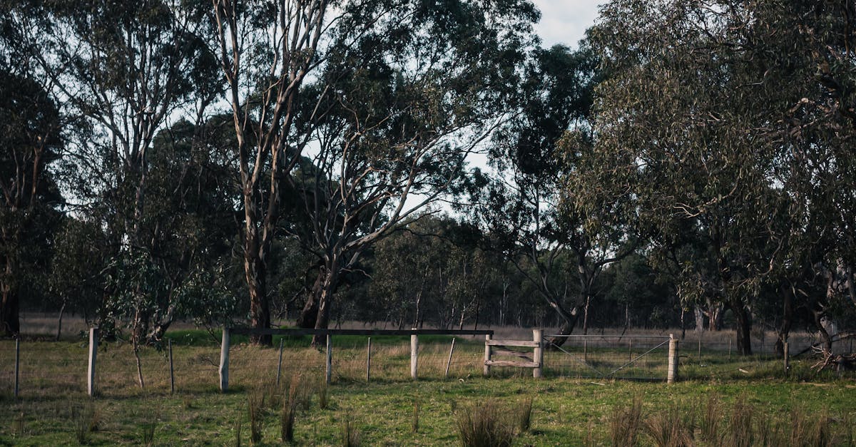 The Importance of Early Leak Detection to Prevent Water Damage