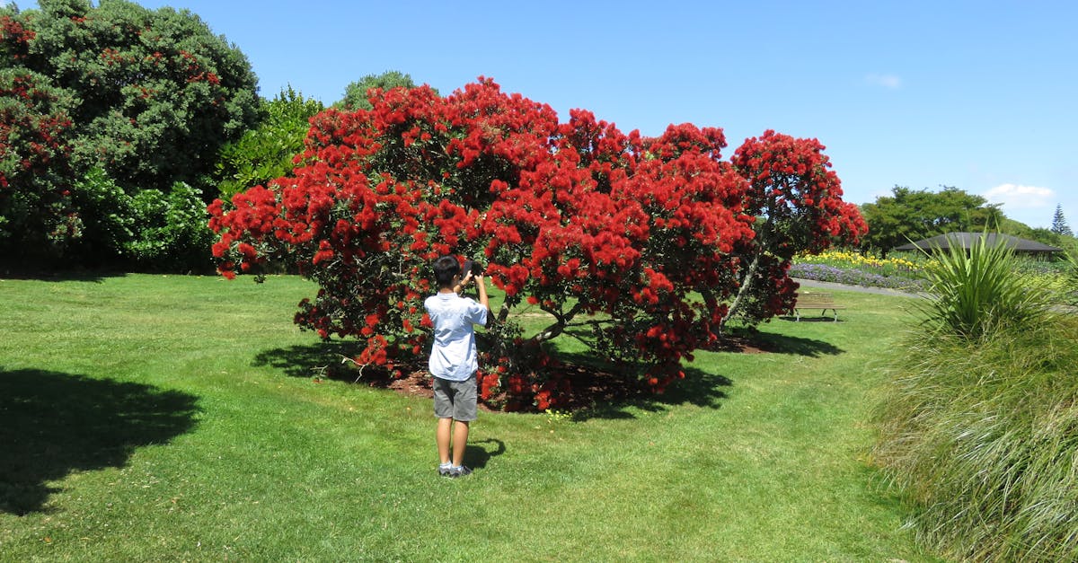 Understanding Local Regulations for Commercial Drainage Installations